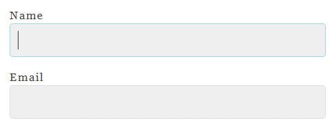 Input fields with focus style